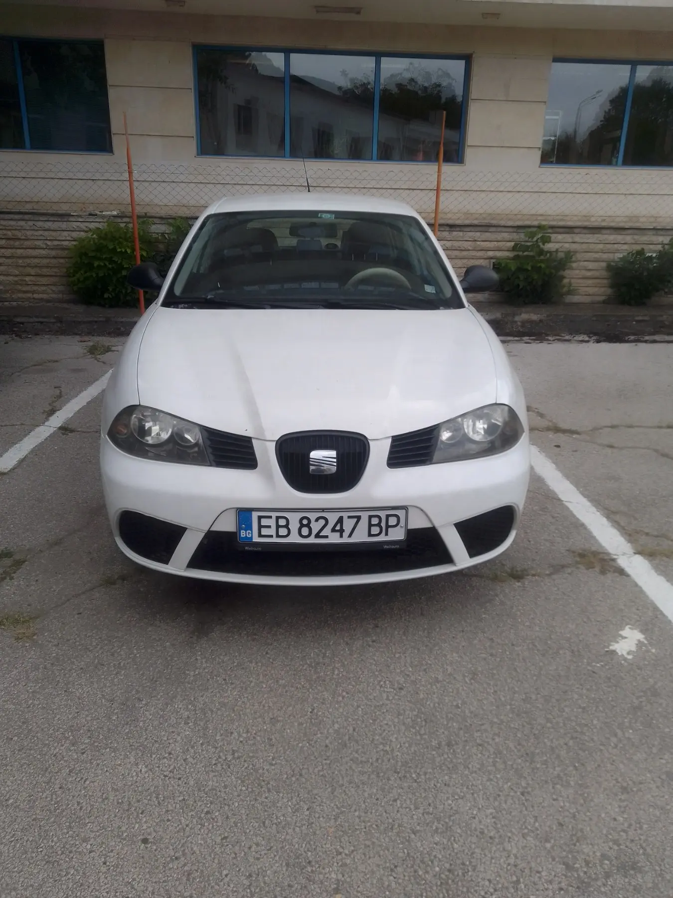 Seat Ibiza под наем